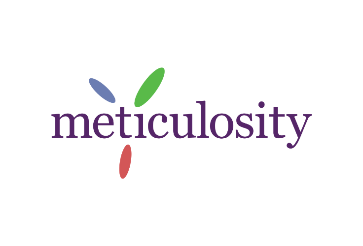 meticulosity